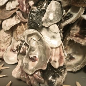 Abstract Oyster Shell Sculpture